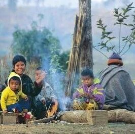 泰国“冬天”预计晚到一周!曼谷最低或降至19℃,南部严防大雨巨浪