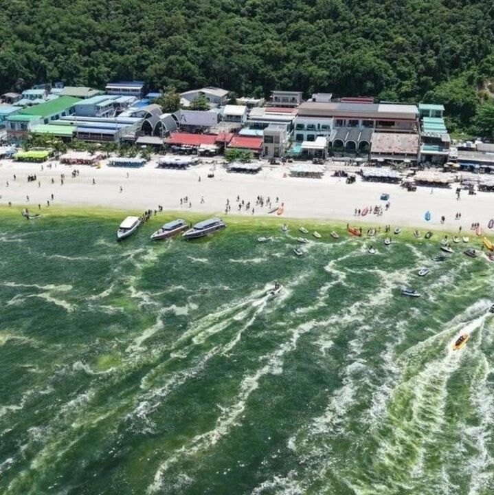芭提雅阁兰岛海水突然变绿