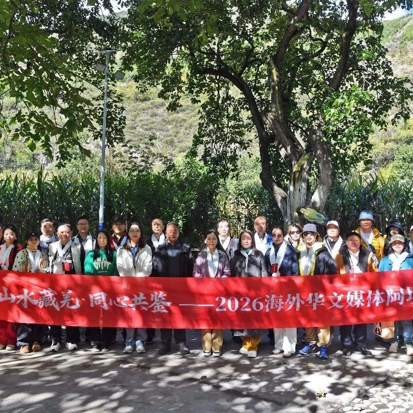 海外华文媒体走进四川金川 探访百年古梨树与农文旅融合实践