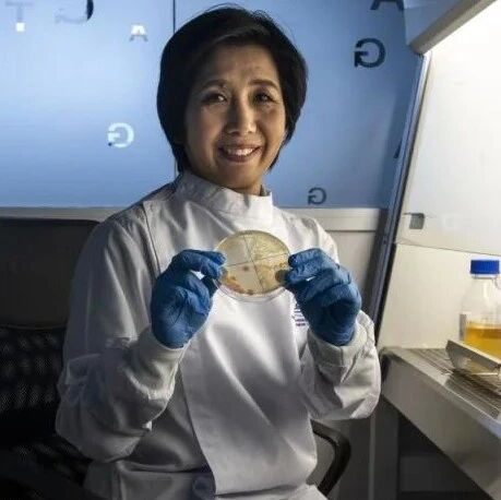 泰国珊瑚细菌将赴国际空间站 50天实验探索海洋变暖应对