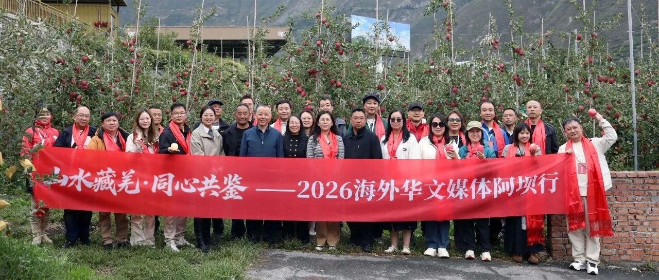 海外华文媒体探访四川茂县苹果产业 关注矮化密植与联农带农模式