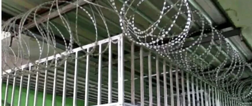 全泰震惊!家产之争牵出铁笼养老院,63岁母亲被囚两年半