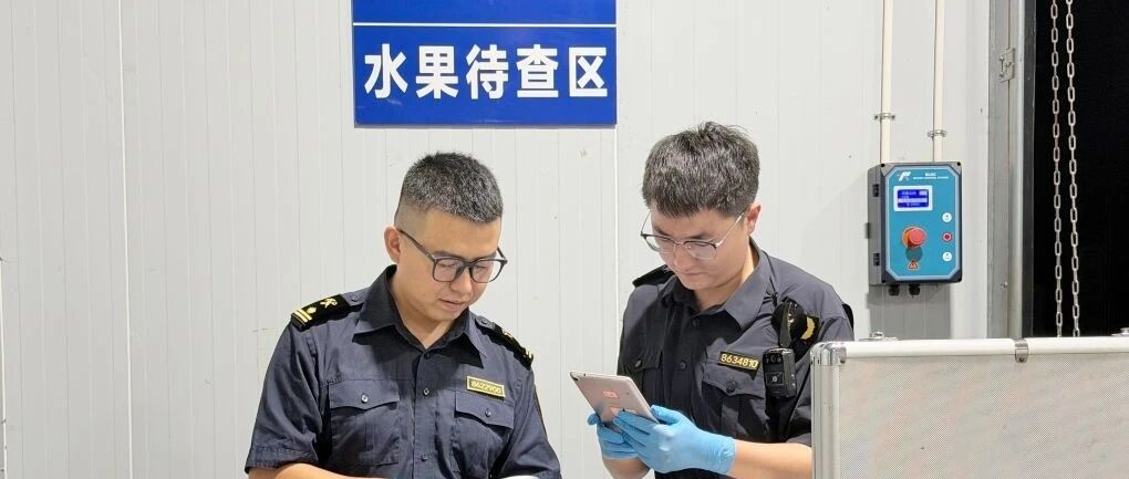 中老铁路累计进出口货值突破千亿元,跨境贸易通道作用持续显现