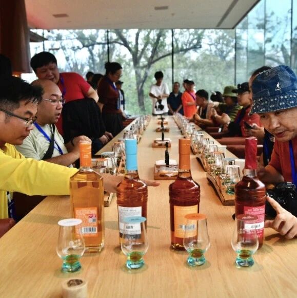 海外华媒探访邛崃酒乡:解锁川酒文旅出海新势能