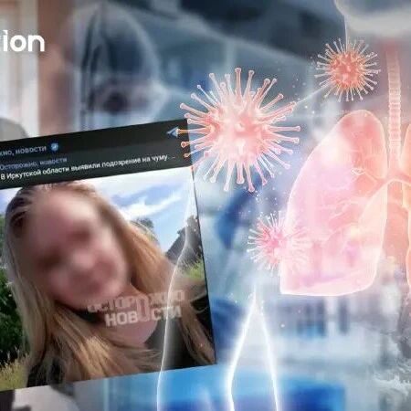 俄罗斯疑似肺鼠疫调查:泰国疾控称输入风险低,维持日常监测